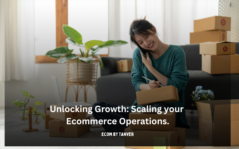 Unlocking Growth: Scaling Your E-commerce Operations